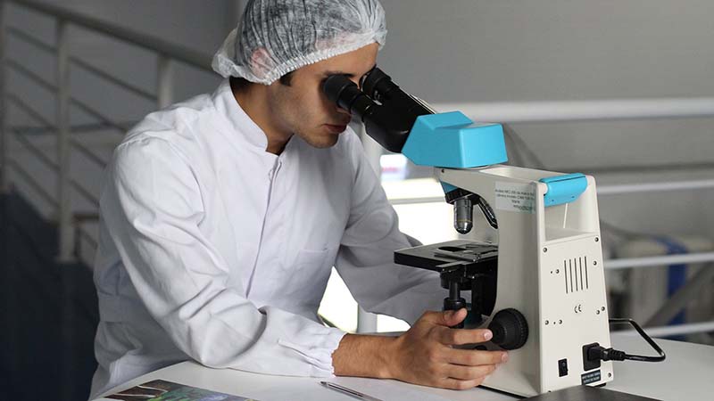 Person looking at lab sample